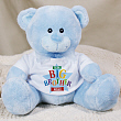 Big Brother Star Plush Teddy Bear TB1563x
